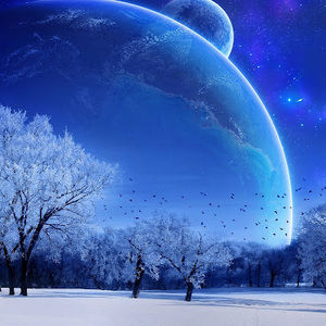 Meet your Posher, Janel